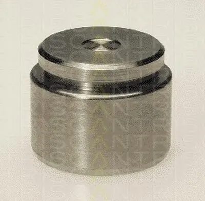 Поршень, корпус скобы тормоза TRISCAN купить