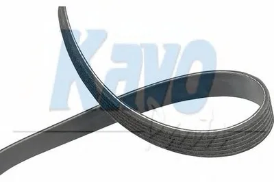 V-Ribbed Belts KAVO PARTS купить