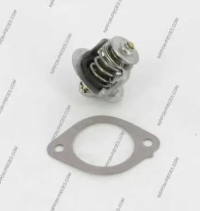 Термостат, охлаждающая жидкость NPS купить