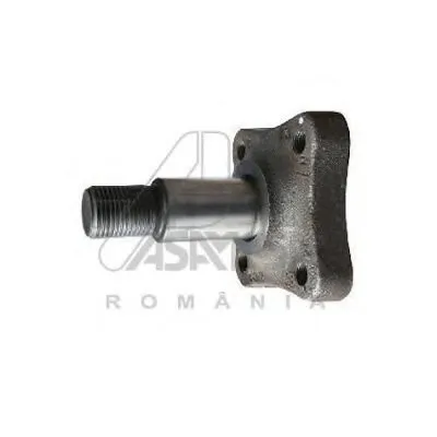 ? колесн. ступицы = ASAM купить