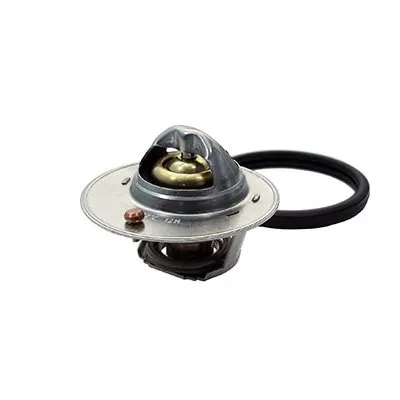 Термостат, охлаждающая жидкость SIDAT купить