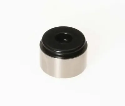 Поршень, корпус скобы тормоза BUDWEG CALIPER купить