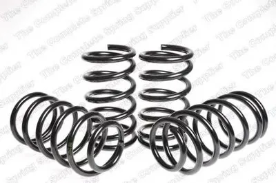 Комплект ходовой части, пружины ROC купить