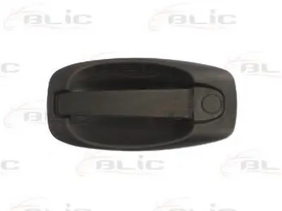 Ручка двери BLIC купить