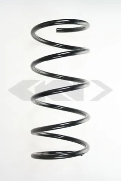 винтовая пружина SPIDAN купить