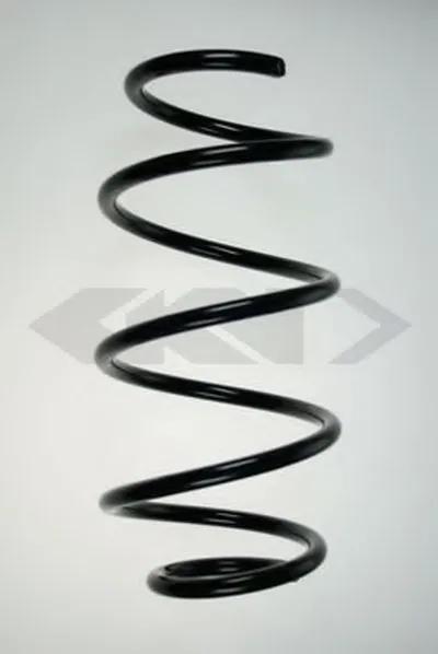 винтовая пружина SPIDAN купить