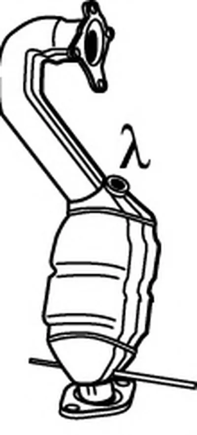 Катализатор для переоборудования WALKER купить