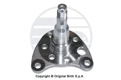 ? колесн. ступицы = BIRTH купить