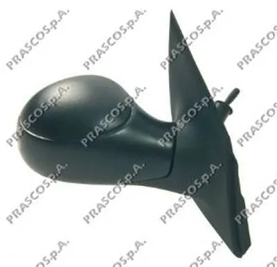 Наружное зеркало PRASCO купить