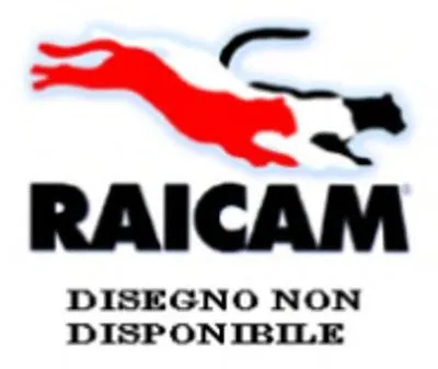 Комплект тормозных колодок, стояночная тормозная система RAICAM купить