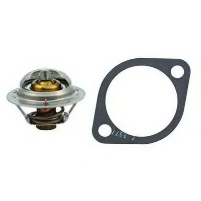 Термостат, охлаждающая жидкость FISPA купить