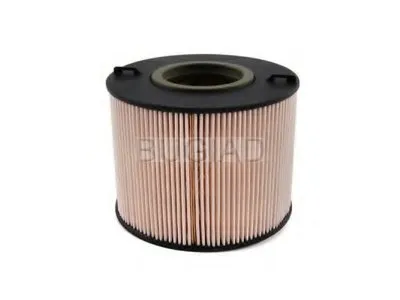 Топливный фильтр BUGIAD купить