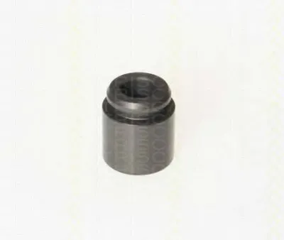 Поршень, корпус скобы тормоза TRISCAN купить