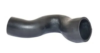 Трубка нагнетаемого воздуха BUGIAD купить