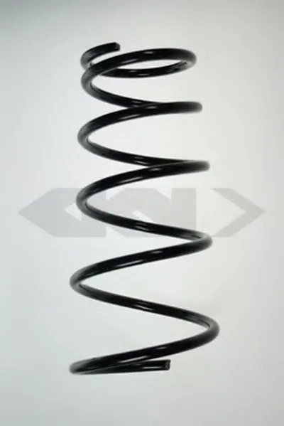 винтовая пружина SPIDAN купить