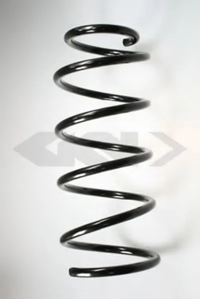 винтовая пружина SPIDAN купить