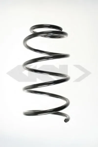 винтовая пружина SPIDAN купить