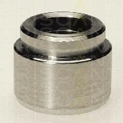 Поршень, корпус скобы тормоза TRISCAN купить