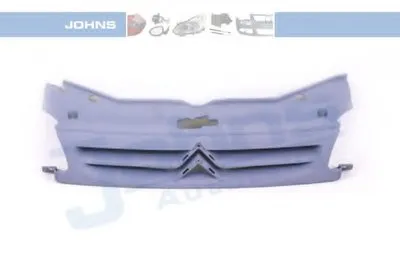 Решетка радиатора JOHNS купить