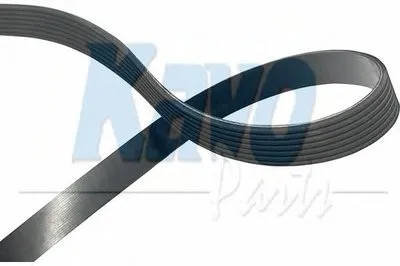 V-Ribbed Belts KAVO PARTS купить