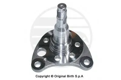 ? колесн. ступицы = BIRTH купить