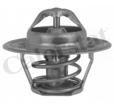 Термостат, охлаждающая жидкость CALORSTAT by Vernet купить