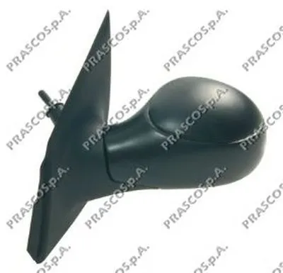Наружное зеркало PRASCO купить