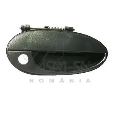 Ручка двери ASAM купить