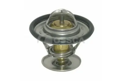 Термостат, охлаждающая жидкость OSSCA купить