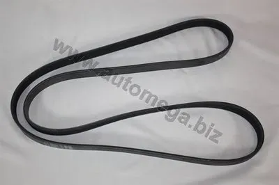 V-Ribbed Belts Erstausrüster AUTOMEGA купить