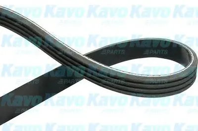 V-Ribbed Belts KAVO PARTS купить