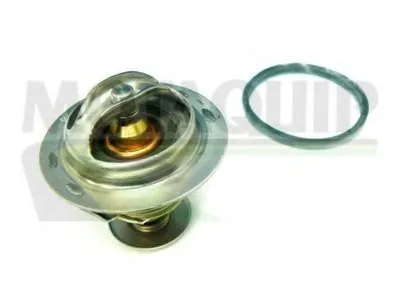 Термостат, охлаждающая жидкость MOTAQUIP купить