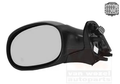 Наружное зеркало VAN WEZEL купить