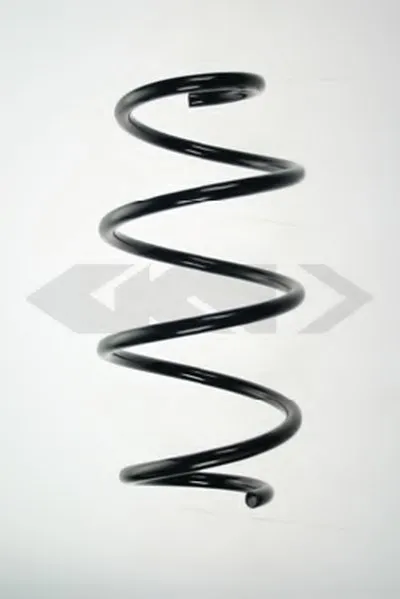 винтовая пружина SPIDAN купить