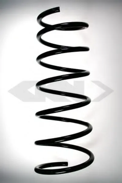 винтовая пружина SPIDAN купить