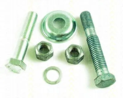 Ремкомплект, направляющяя стойка TRISCAN купить