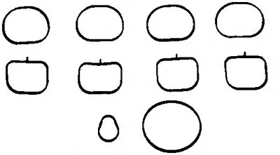 Прокладка, впускной коллектор CORTECO купить