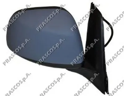 Наружное зеркало PRASCO купить