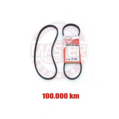 V-Ribbed Belts MASTER-SPORT купить