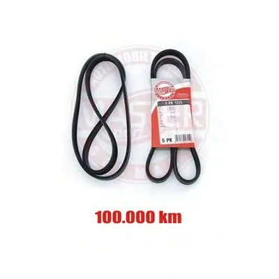 V-Ribbed Belts MASTER-SPORT купить