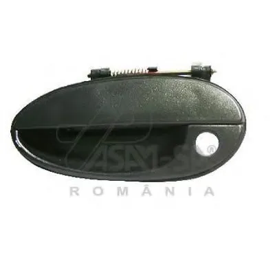 Ручка двери ASAM купить