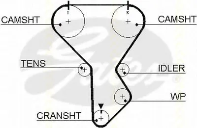 Ремень ГРМ TRISCAN купить