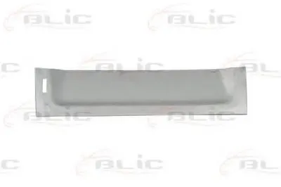 Задняя дверь BLIC купить