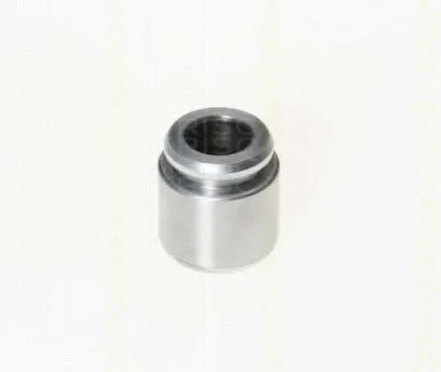 Поршень, корпус скобы тормоза TRISCAN купить