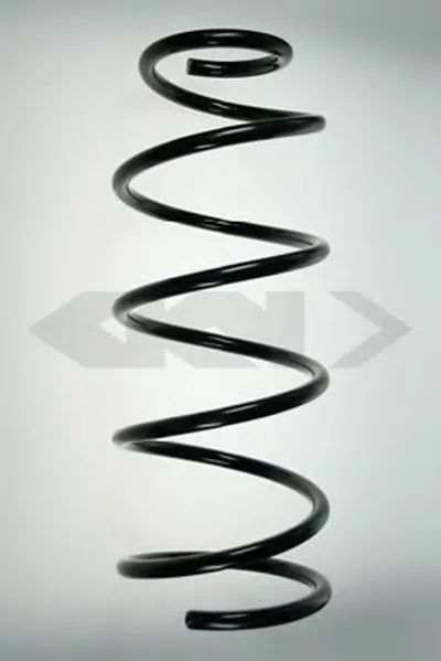 винтовая пружина SPIDAN купить