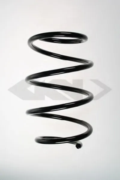 винтовая пружина SPIDAN купить