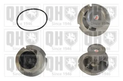 Водяной насос QUINTON HAZELL купить