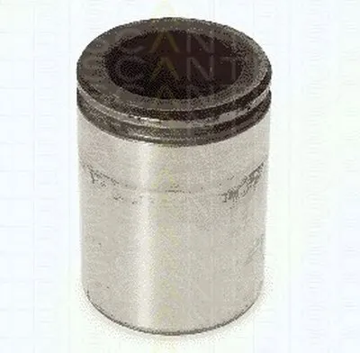 Поршень, корпус скобы тормоза TRISCAN купить