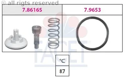 Термостат, охлаждающая жидкость FACET купить