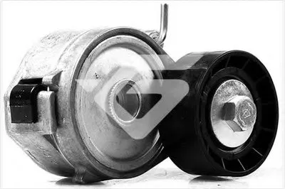 Натяжной ролик, поликлиновой  ремень HUTCHINSON купить